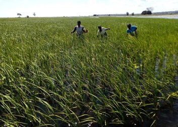 Agribusiness for LIFE- Livelihoods, Innovation, Food and Empowerment 