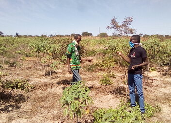 Agriculture Market linkages and Financial services 
