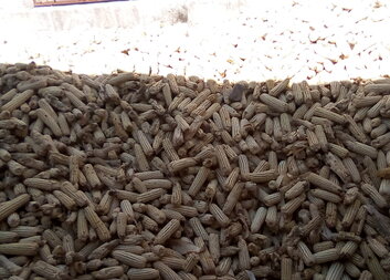 Capacity Building of Farmers in Selected Value Chains 