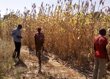 Developing Market Linkage in Mayukwayukwa