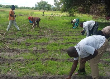 Silvopastoral systems as a strategy sustainable agriculture for raising the standard of living of sm