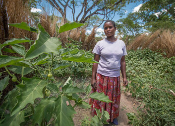 How is Caritas reducing its environmental footprint