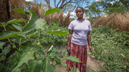 How is Caritas reducing its environmental footprint