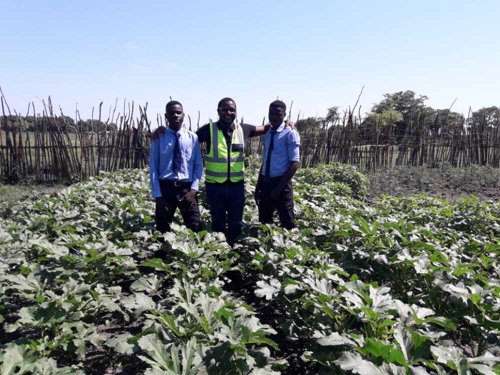 Youths involved in Gardening (file picture) Youths involved in Gardening (file picture)