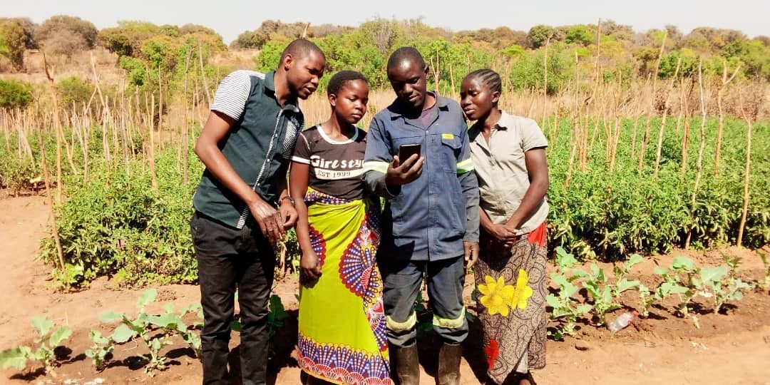 Farmers familiarizing themselves with Big Terra Crop mobile app. Farmers familiarizing themselves with Big Terra Crop mobile app.