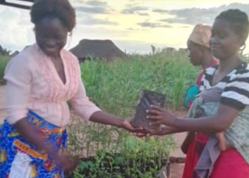 Kapinga is now practising conservation farming, thanks to Caritas Czech Republic