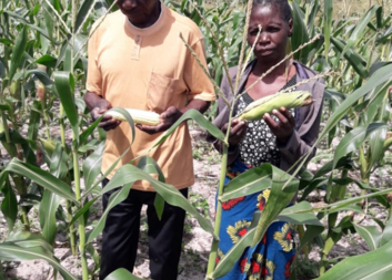 My family now has food all year round, says Mr Mapulanga from Zambia who adopted conservation farming 