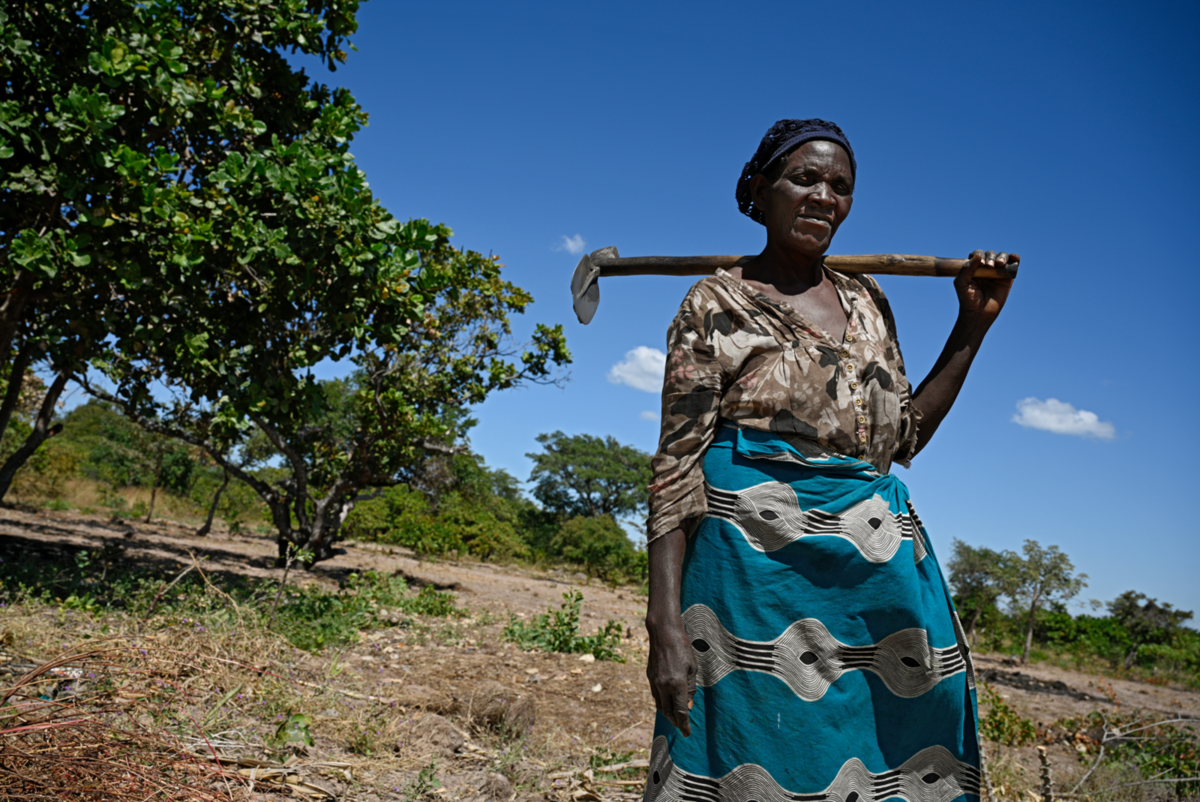 A female farmer in Western Province benefiting from the project A female farmer in Western Province benefiting from the project