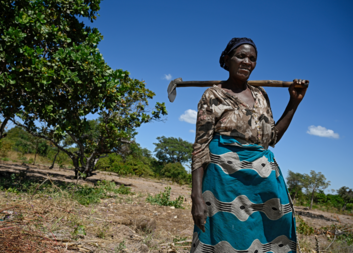 Best of 2022 in Caritas Czech Republic in Zambia 