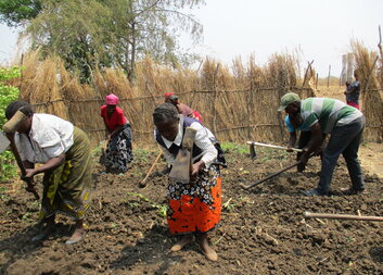 How Caritas Czech Republic supports farmers in the Mayukwayukwa refugee settlement in Zambia 