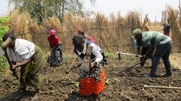 How Caritas Czech Republic supports farmers in the Mayukwayukwa refugee settlement in Zambia 