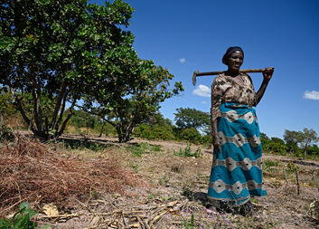 Extreme drought in Zambia is threatening livelihoods