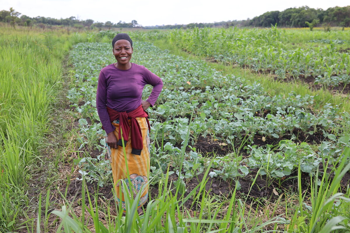 Minga from Zambia Minga from Zambia