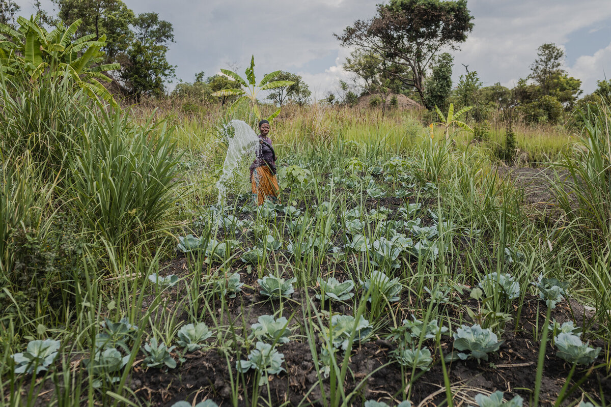 Minga from Zambia Minga from Zambia